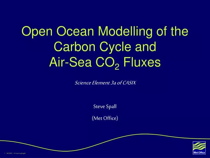 open ocean modelling of the carbon cycle and air sea co 2 fluxes