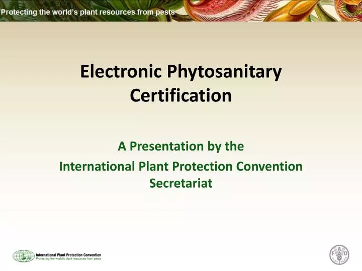 electronic phytosanitary certification
