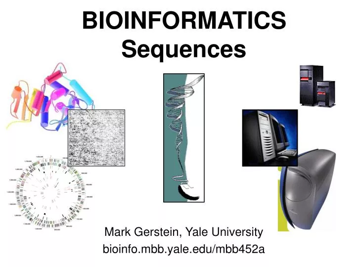 bioinformatics sequences