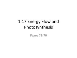 1.17 Energy Flow and Photosynthesis