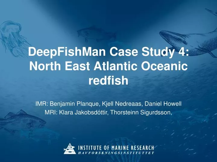 deepfishman case study 4 north east atlantic oceanic redfish