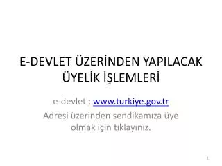 e devlet zer nden yapilacak yel k lemler