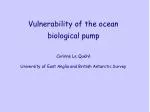 Understanding the Vulnerability of the Ocean Biological Pump to Climate Change - slide 1