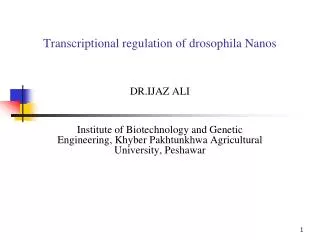 Transcriptional regulation of drosophila Nanos