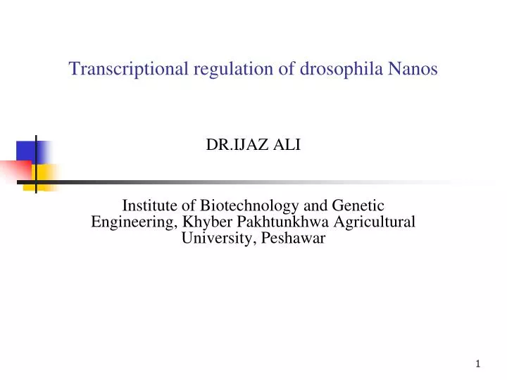 transcriptional regulation of drosophila nanos