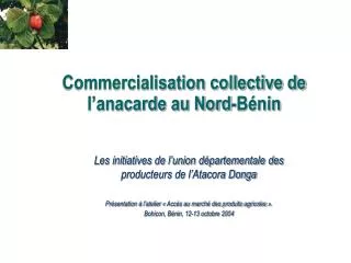 commercialisation collective de l anacarde au nord b nin