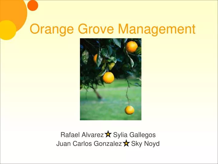 orange grove management
