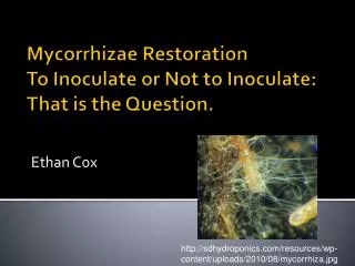 Mycorrhizae Restoration To Inoculate or Not to Inoculate: That is the Question.