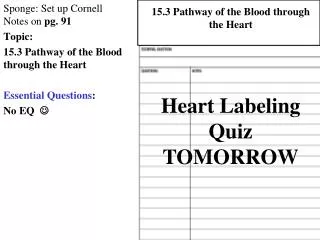 Sponge: Set up Cornell Notes on pg. 91 Topic: 15.3 Pathway of the Blood through the Heart