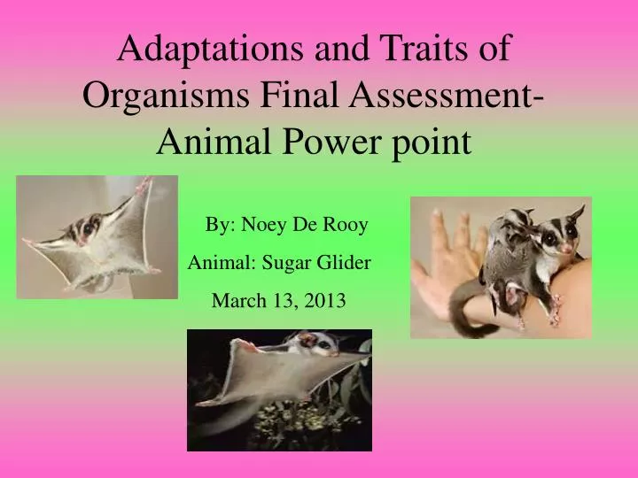 adaptations and traits of organisms final assessment animal power point