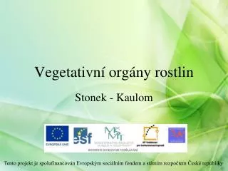 vegetativn org ny rostlin