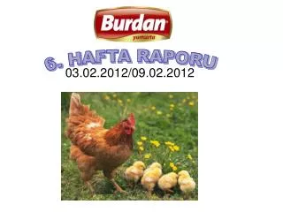 03 02 2012 09 02 2012