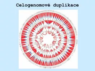 celogenomov duplikace