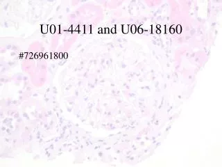 U01-4411 and U06- 18160