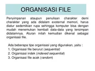 organisasi file