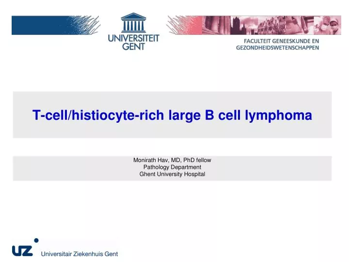 t cell histiocyte rich large b cell lymphoma