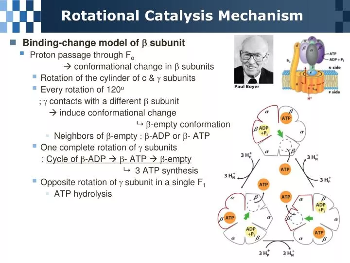 rotational catalysis mechanism