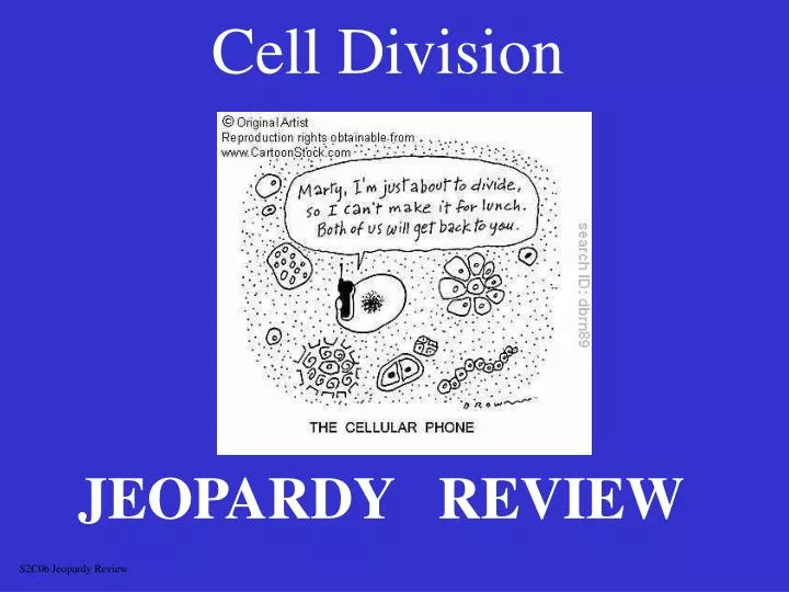 cell division