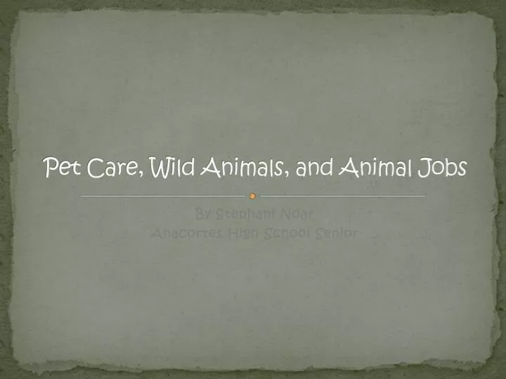 pet care wild animals and animal jobs
