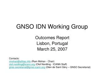 GNSO IDN Working Group