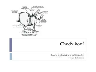 chody kon