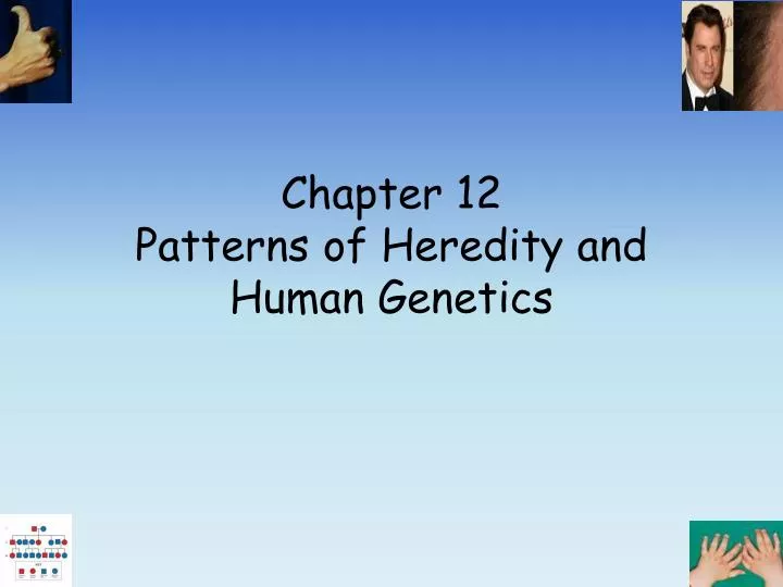 chapter 12 patterns of heredity and human genetics