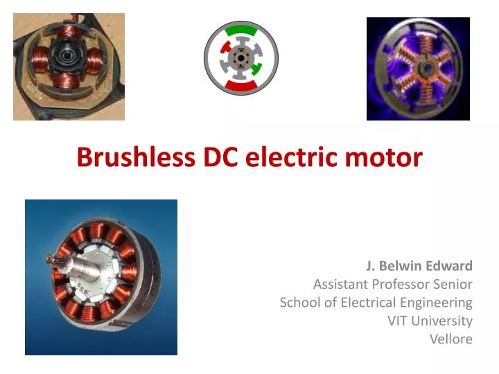brushless dc electric motor