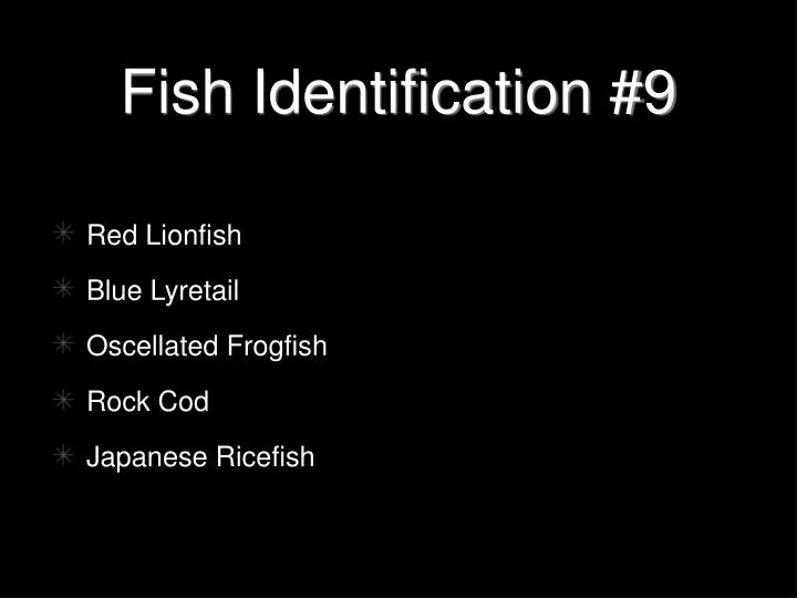 fish identification 9