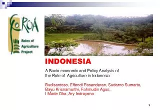A Socio-economic and Policy Analysis of the Role of Agriculture in Indonesia