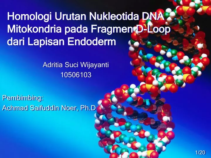 homologi urutan nukleotida dna mitokondria pada fragmen d loop dari lapisan endoderm