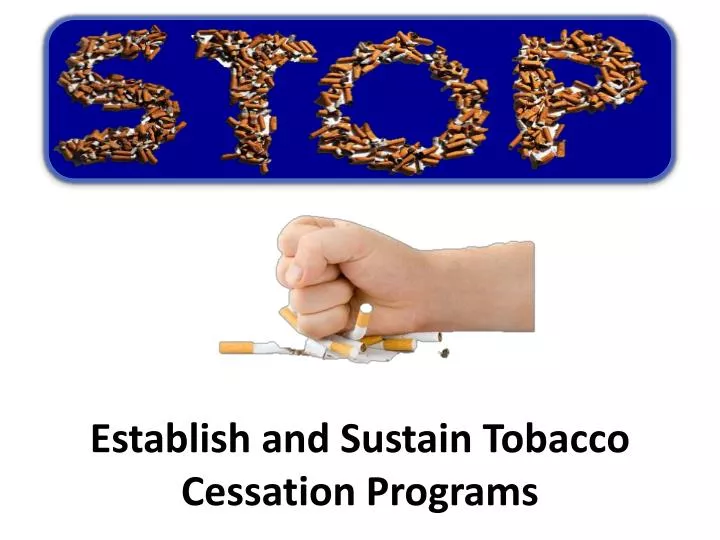 establish and sustain tobacco cessation programs