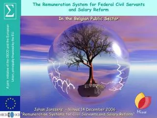 The Remuneration System for Federal Civil Servants and Salary Reform In the Belgian Public Sector