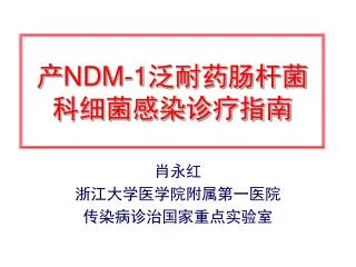 ndm 1
