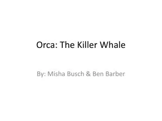 Orca: The Killer Whale