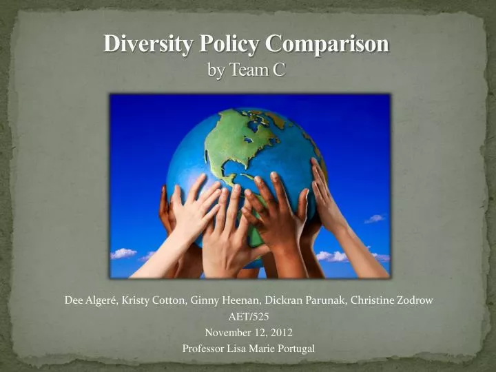 diversity policy comparison by team c