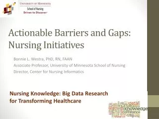 Actionable Barriers and Gaps: Nursing Initiatives