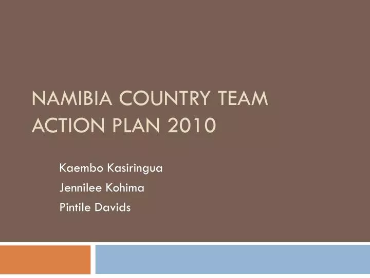 namibia country team action plan 2010