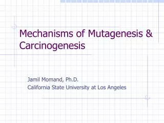 Mechanisms of Mutagenesis &amp; Carcinogenesis
