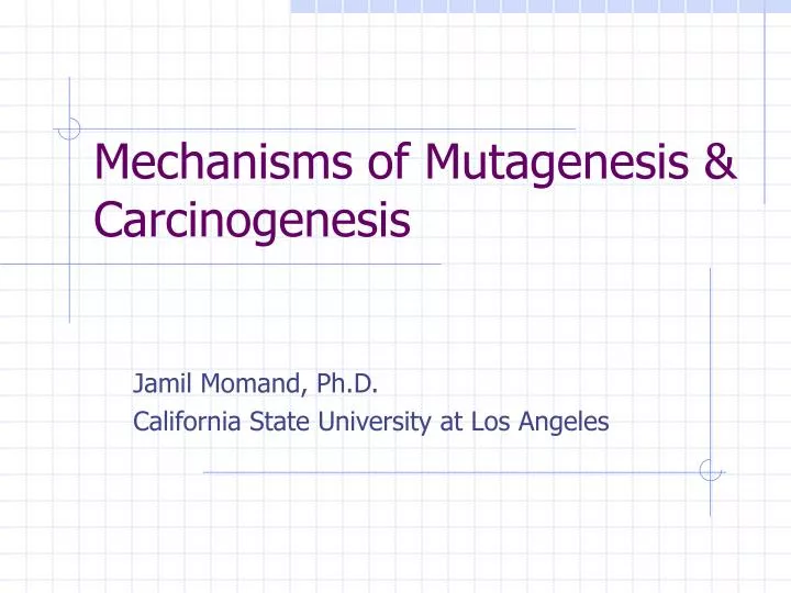 mechanisms of mutagenesis carcinogenesis