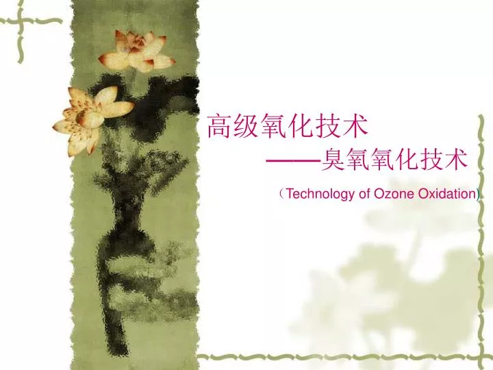 technology of ozone oxidation