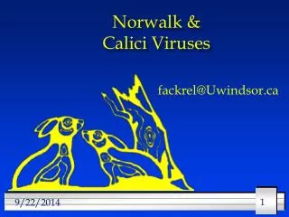 Norwalk &amp; Calici Viruses