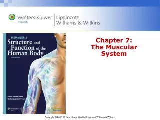 chapter 7 the muscular system