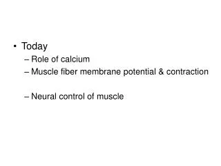 Today Role of calcium Muscle fiber membrane potential &amp; contraction Neural control of muscle