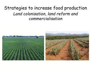 Strategies to increase food production Land colonisation, land reform and commercialisation
