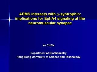 ARMS interacts with a -syntrophin: implications for EphA4 signaling at the neuromuscular synapse