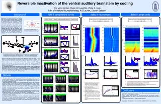 Reversible inactivation of the ventral auditory brainstem by cooling