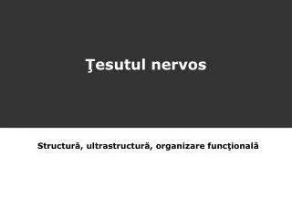 esutul nervos