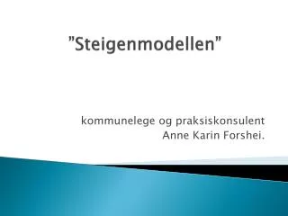 steigenmodellen