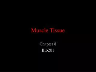 Muscle Tissue