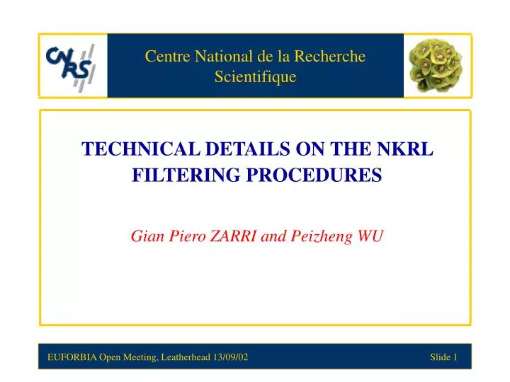 technical details on the nkrl filtering procedures gian piero zarri and peizheng wu